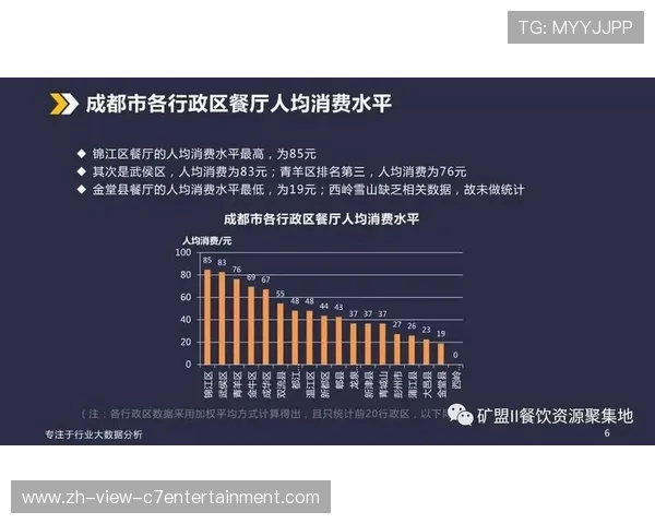 成都排球队力量表现的全面数据分析与深度解读